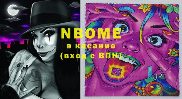 шишки Баксан
